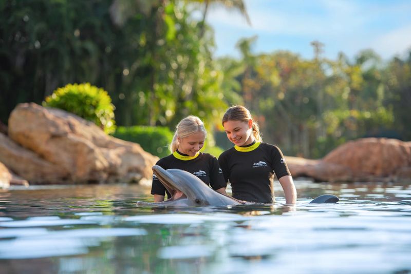 Discovery Cove - Orlando