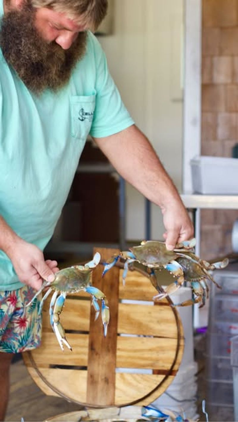 Whalebone Seafood Market (Nags Head)