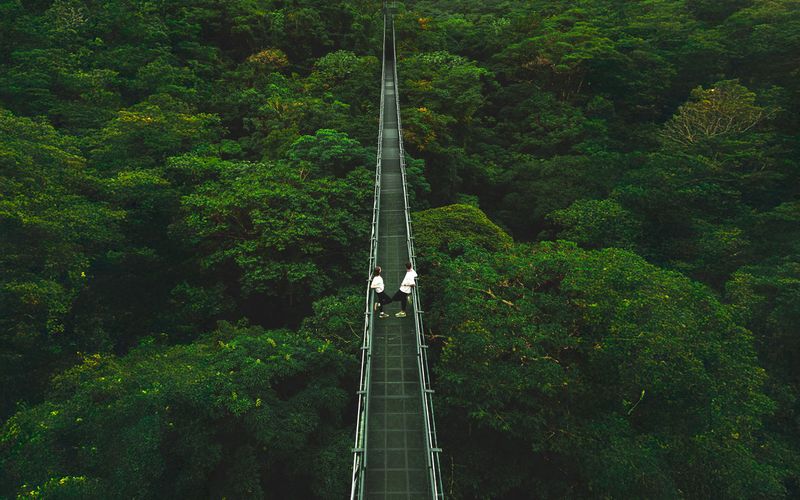Monteverde/Treetopia or Selvatura Hanging Bridges
