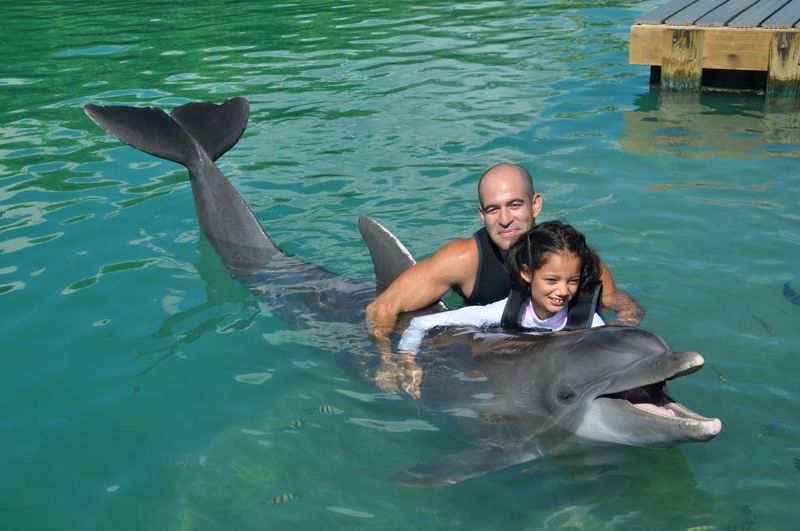 Florida Keys Dolphin Connection - Duck Key