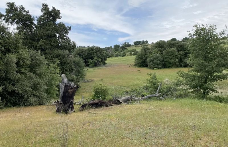 Cuyamaca Rancho State Park – San Diego County