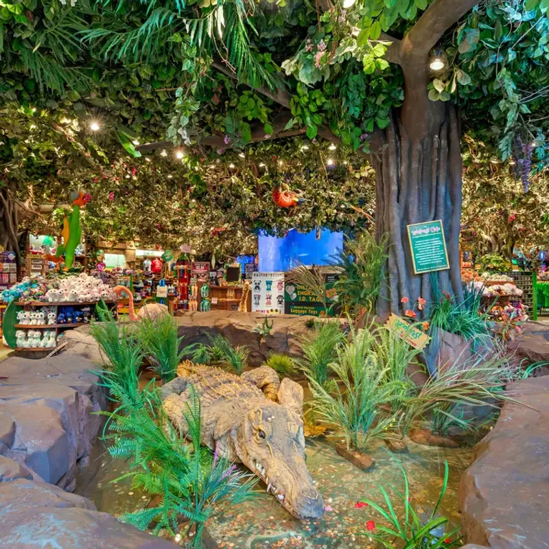 Rainforest Café (Grapevine Mills) — Animatronic Jungle Fun