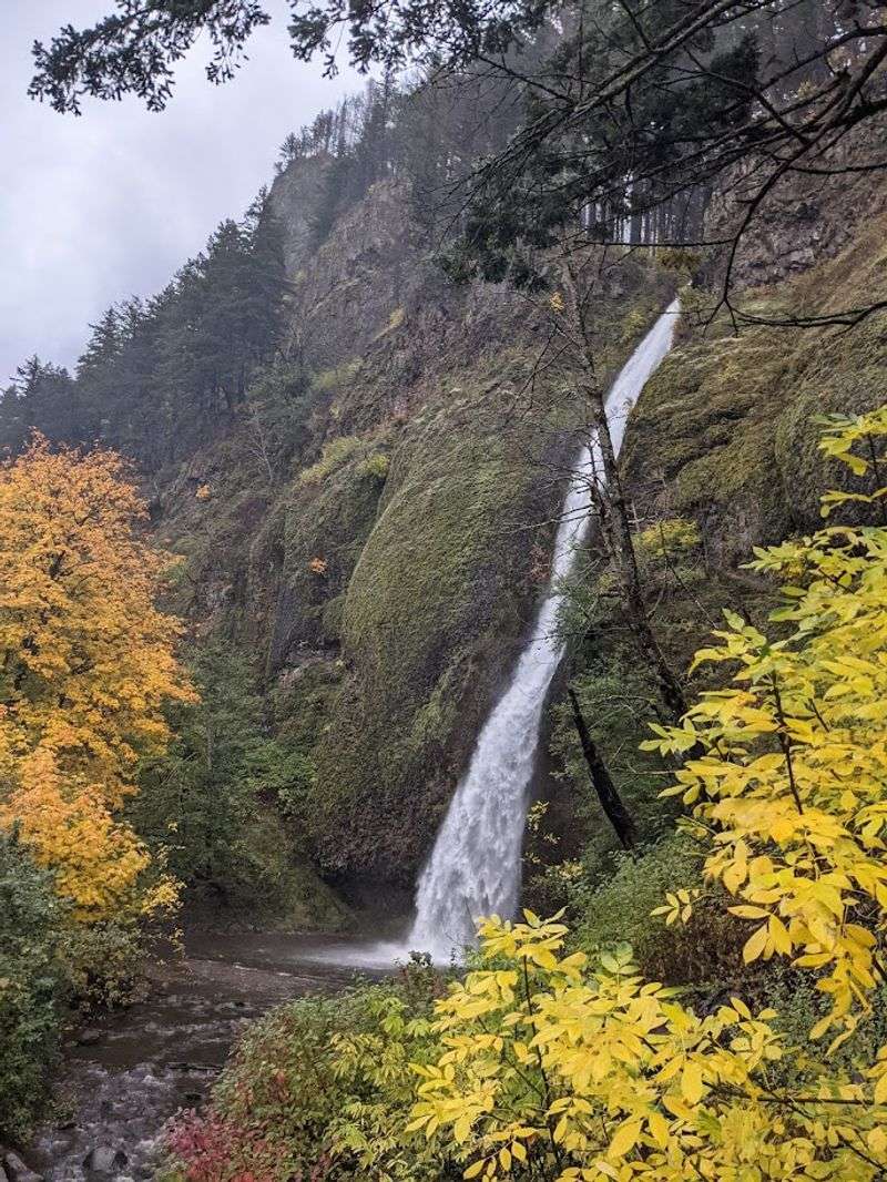 Columbia River Gorge, Oregon (Historic Highway & waterfalls)