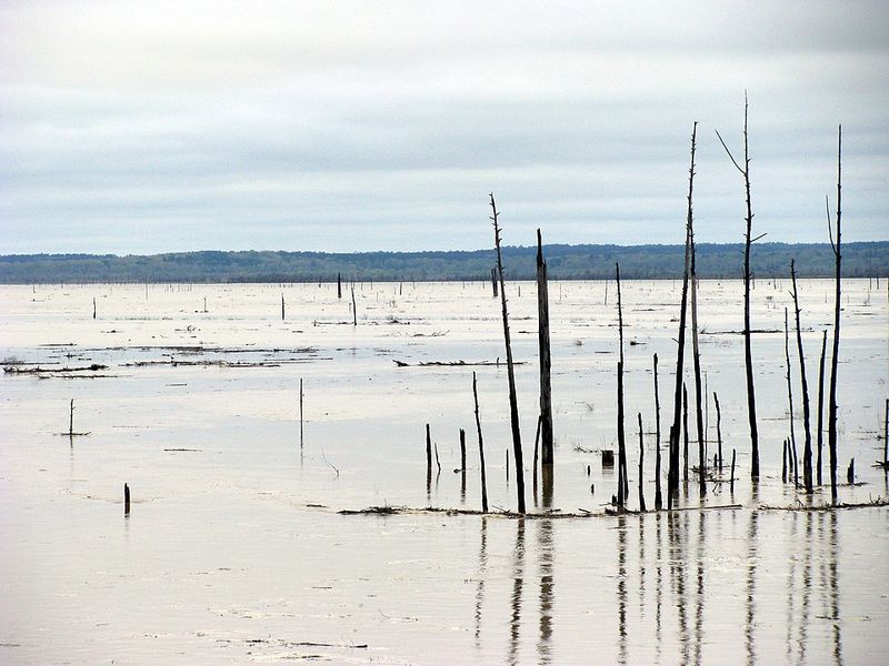 Grenada Lake – Grenada, MS
