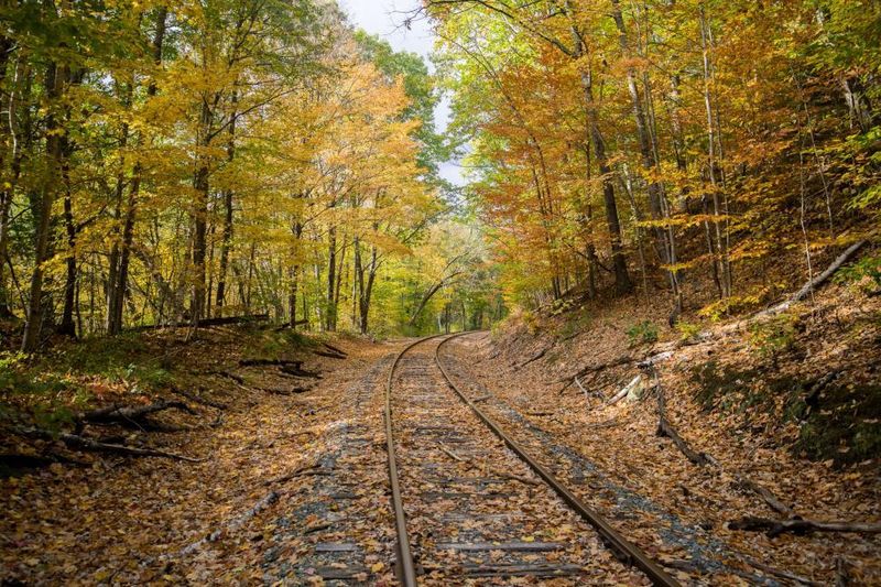 Amtrak Vermonter: Washington, D.C. to Vermont