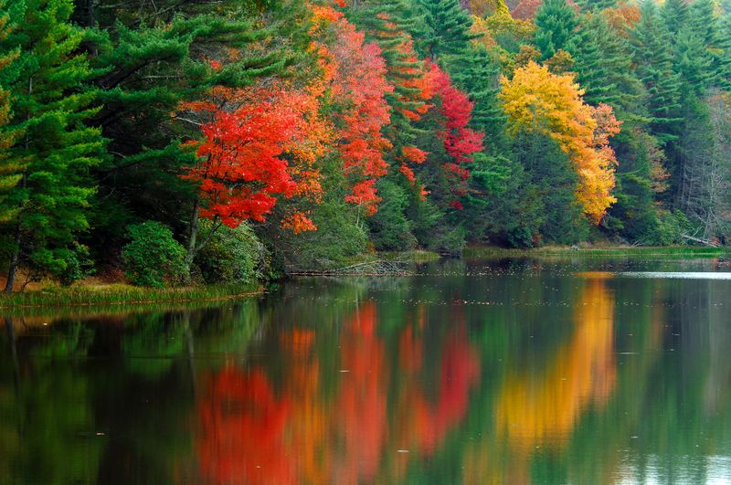 Witness Spectacular Autumn Colors Reflecting on Water