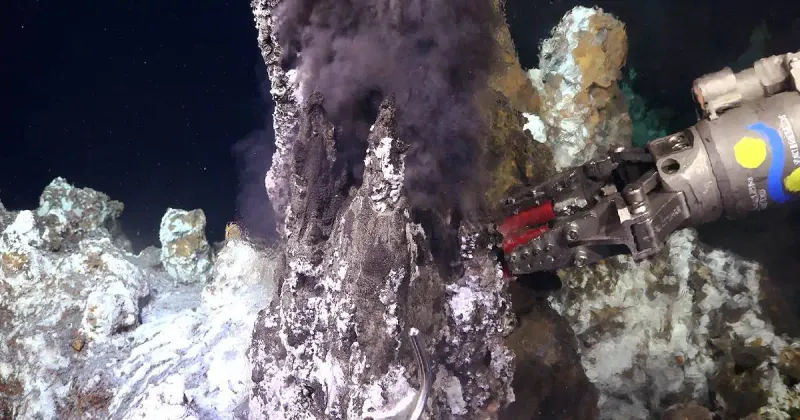 Why This Discovery Matters