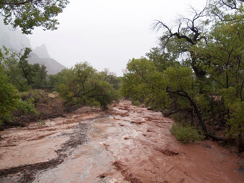 Flash Floods
