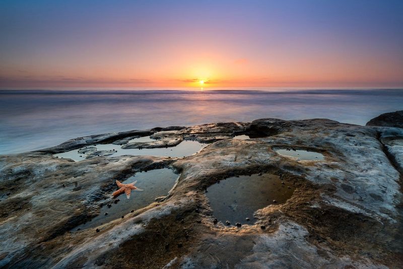 La Jolla Tide Pools (Dike Rock, Shell Beach & more), San Diego, California