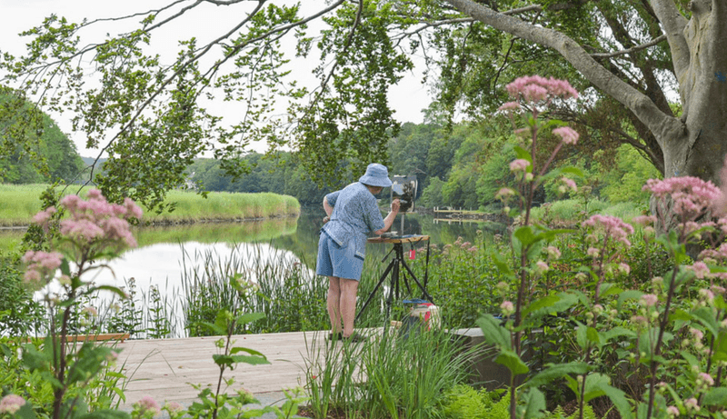 Artists’ Trail Experience