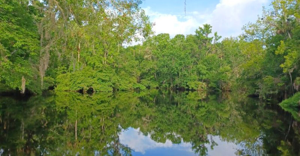 Florida-Georgia’s Hidden Freshwater Paradise Locals Hope You Never Find