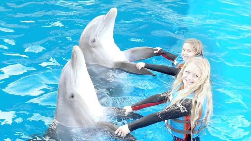 Gulf World Marine Park - Panama City