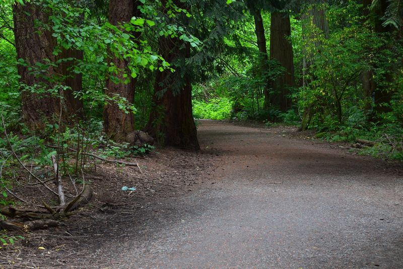 Take the ADA Loop — It's the Park's Quietest Walk
