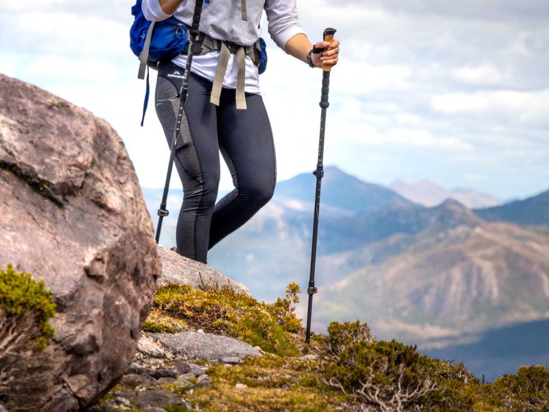 Adjustable trekking poles (your four-wheel drive)