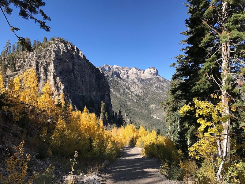 Cathedral Rock (Mt. Charleston / Spring Mountains)
