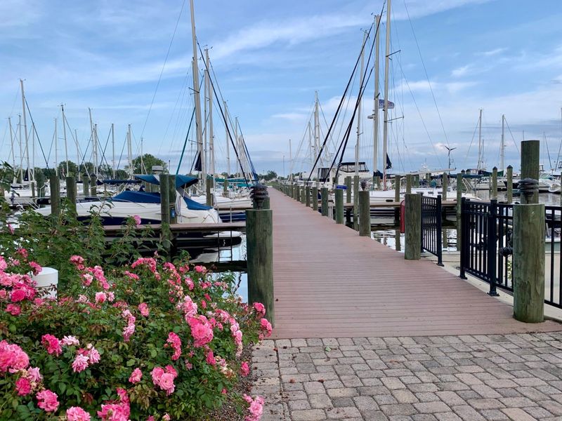 Walkable Marinas and Docks