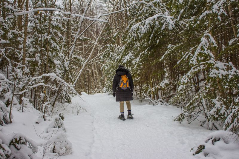 Trails for Every Explorer