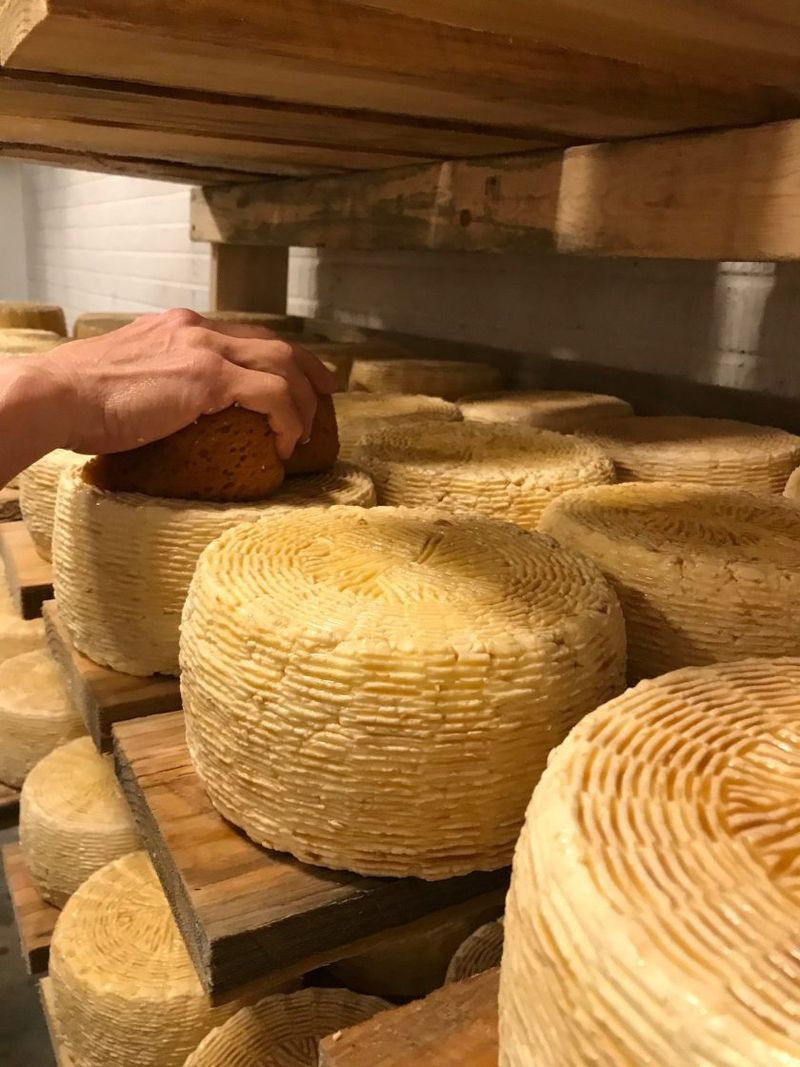 Dairy Delights at Carolina Mountain Cheese Festival