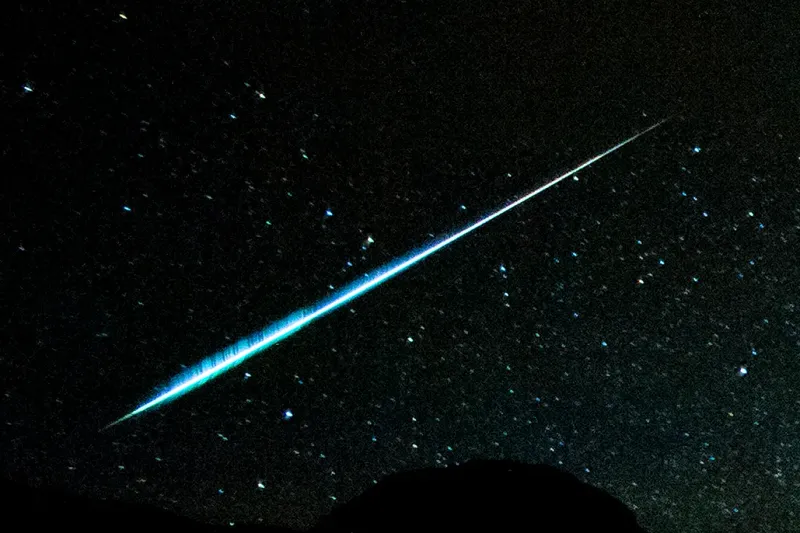 What Makes the Orionids Special