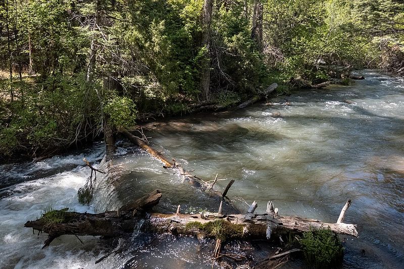 Cimarron Canyon State Park