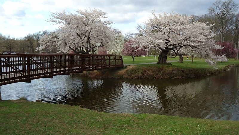 Lenape Park & Rahway River Parkway