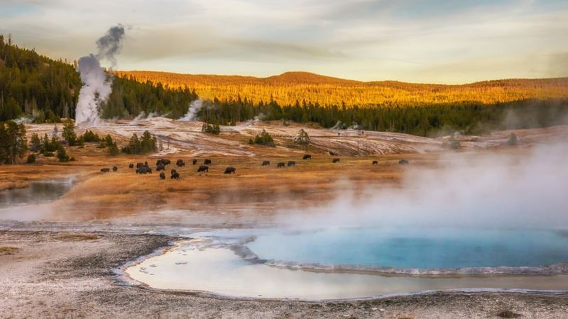 Yellowstone National Park, WY/MT/ID