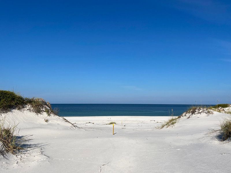 Wilderness Preserve Trail, T.H. Stone Memorial St. Joseph Peninsula State Park — Florida (Gulf of Mexico)