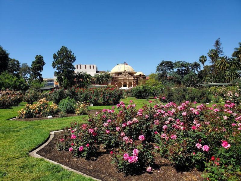 Exposition Park Rose Garden (Exposition Park, South LA)