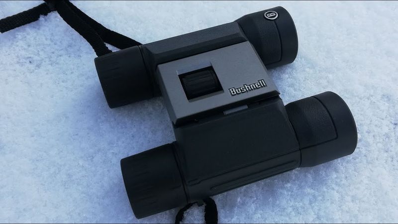 Bushnell Powerview / 10×25