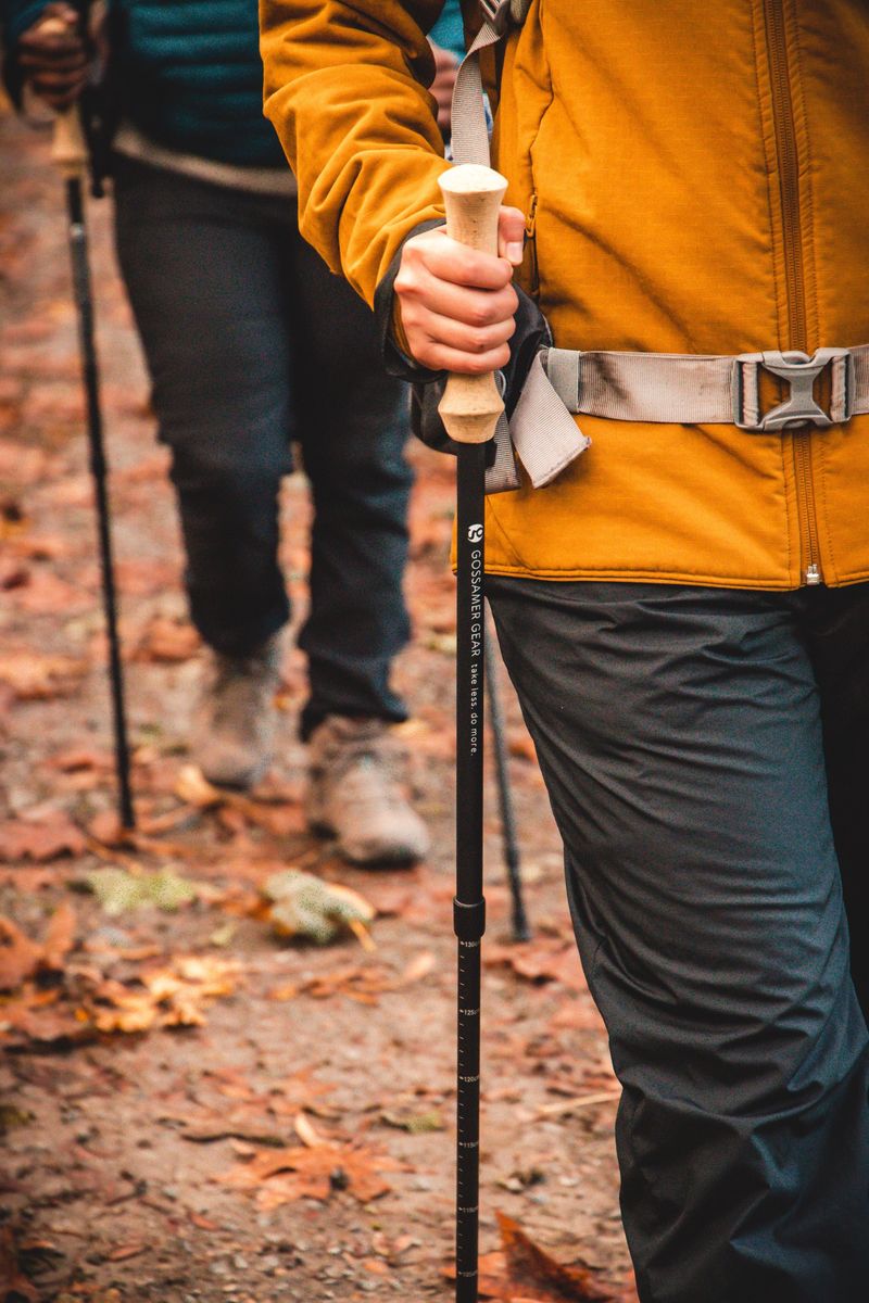 Trekking Poles