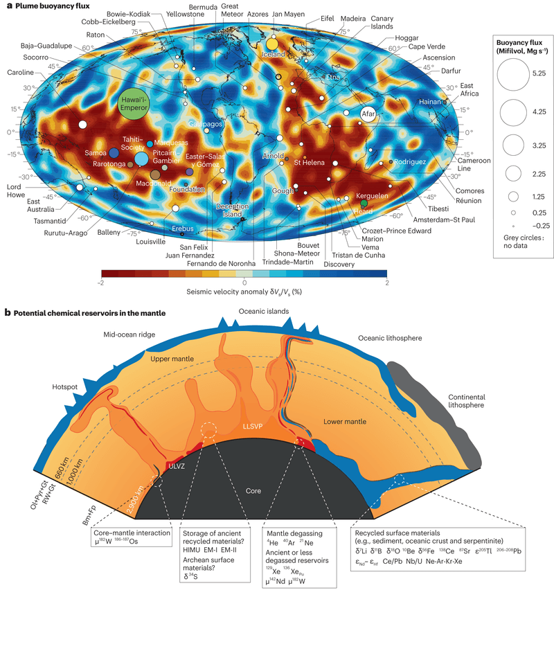 Implications for Tectonics and Interior Dynamics