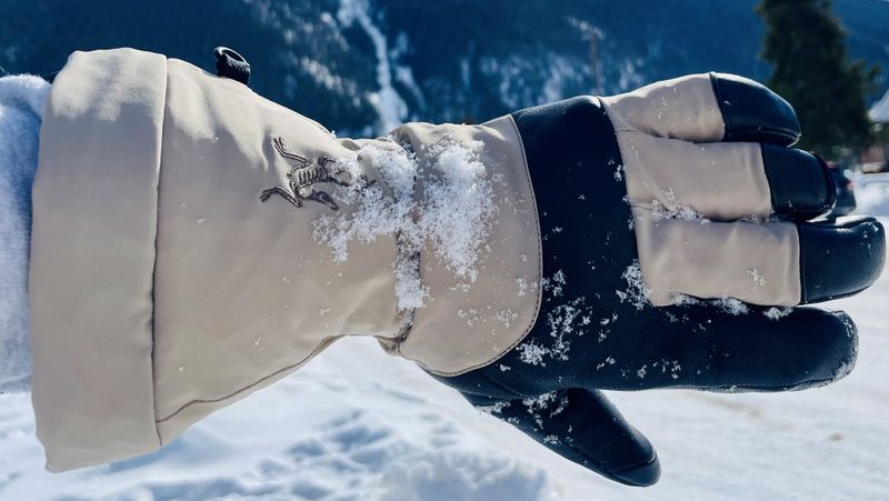 Arc’teryx Fission SV Gloves