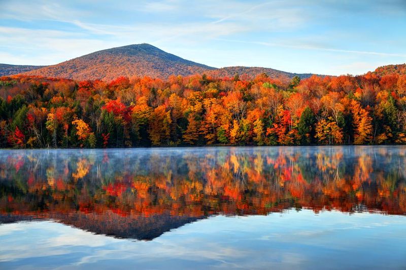 A Canvas of Fall Colors