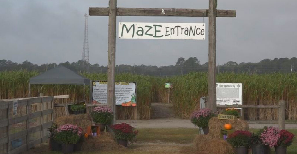 Hidden in Florida: A Family-Friendly Fall Escape With an Impressive Corn Maze