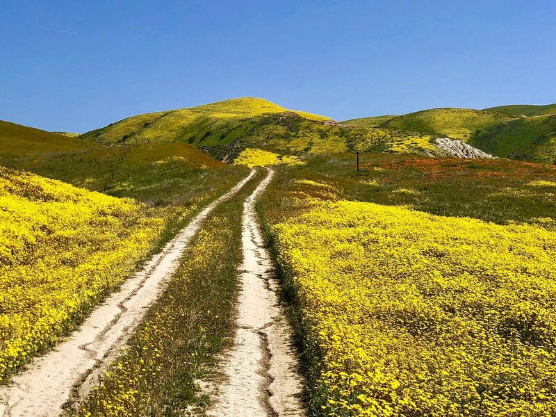 State Route 33 - Ojai to the Carrizo Plain