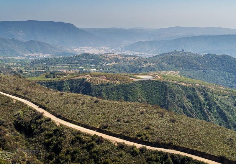 Palomar Mountain Road - San Diego County