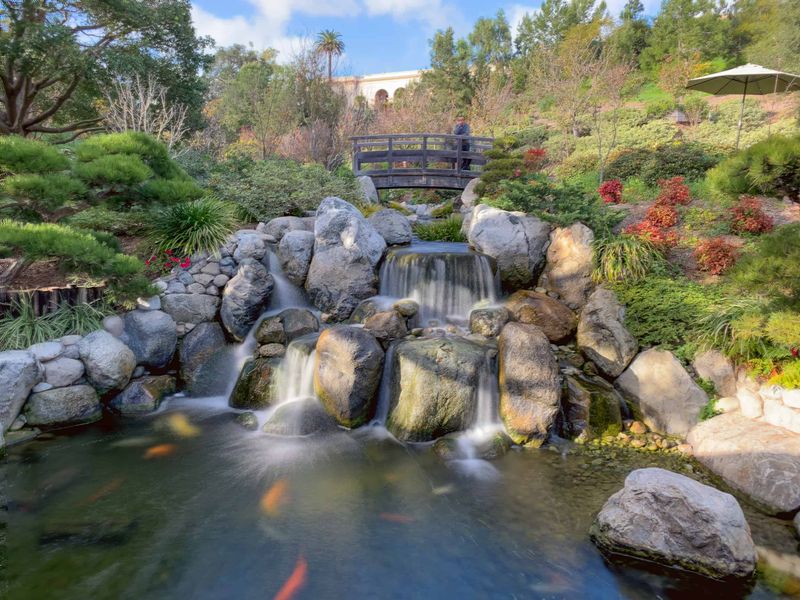 Stroll the Japanese Friendship Garden in Balboa Park