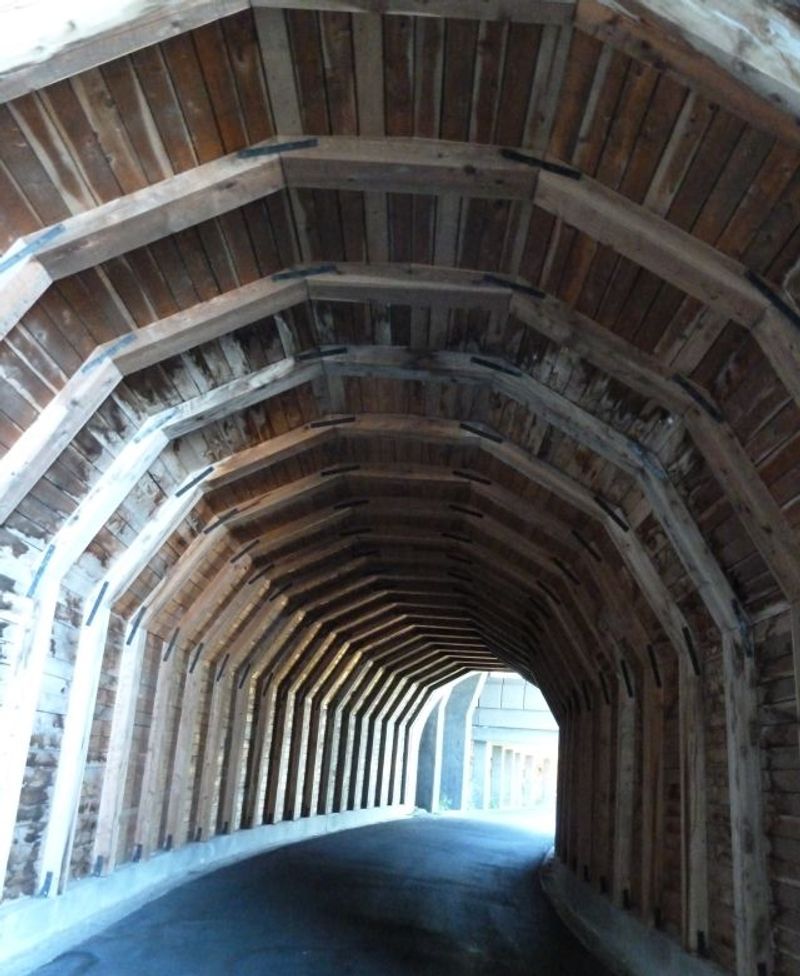 Bike or Walk the Historic Columbia River Highway — Twin Tunnels Segment