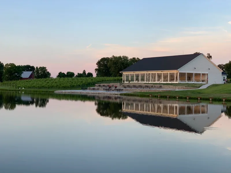 The Pour Vineyard