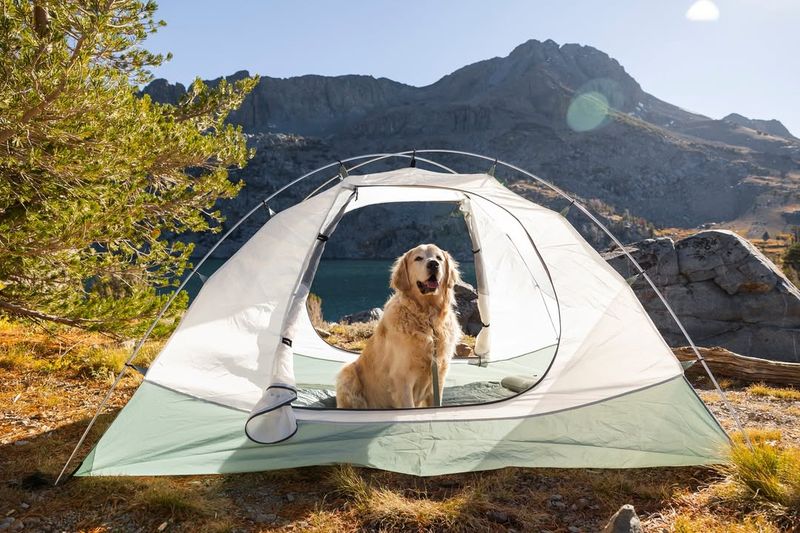 ALPS Mountaineering Tasmanian 2-Person Tent