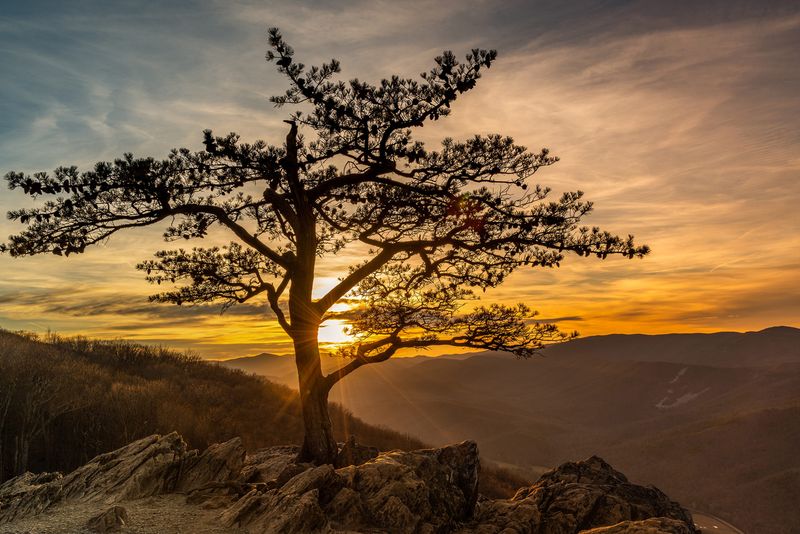 Ravens Roost Overlook (MP 10.7, VA)