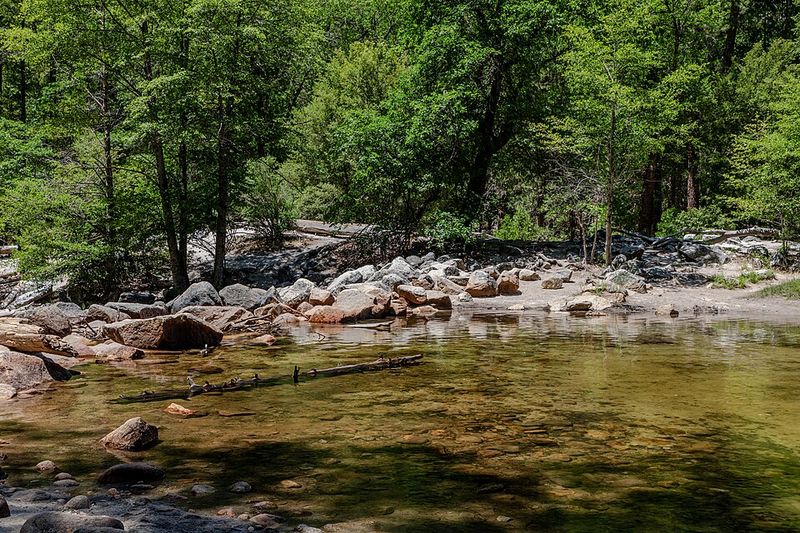 Deadly Water Currents