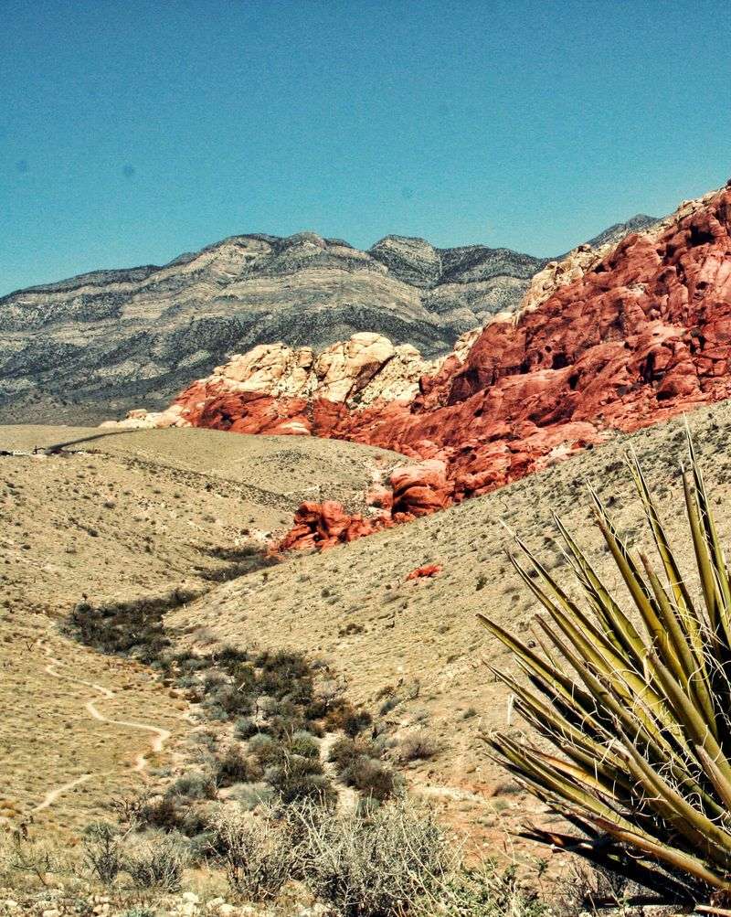 Keystone Thrust (Red Rock Canyon)