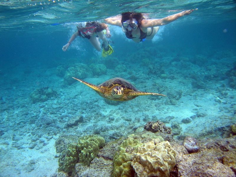 Key Largo – John Pennekamp Coral Reef State Park