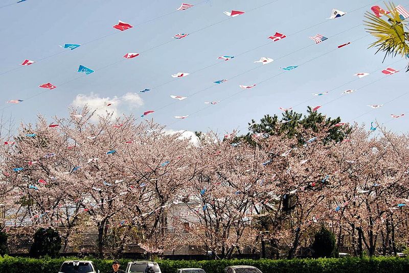 Festivals and Seasonal Celebrations