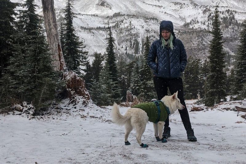 Overestimating Your Dog's Endurance