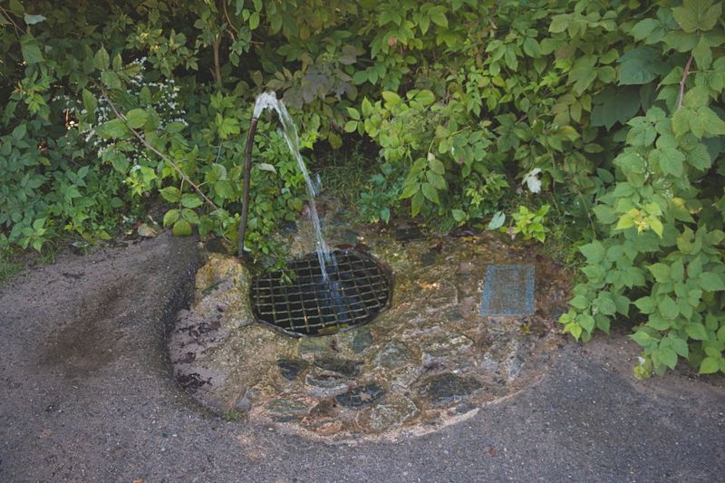 Old Facefull (Pierport)