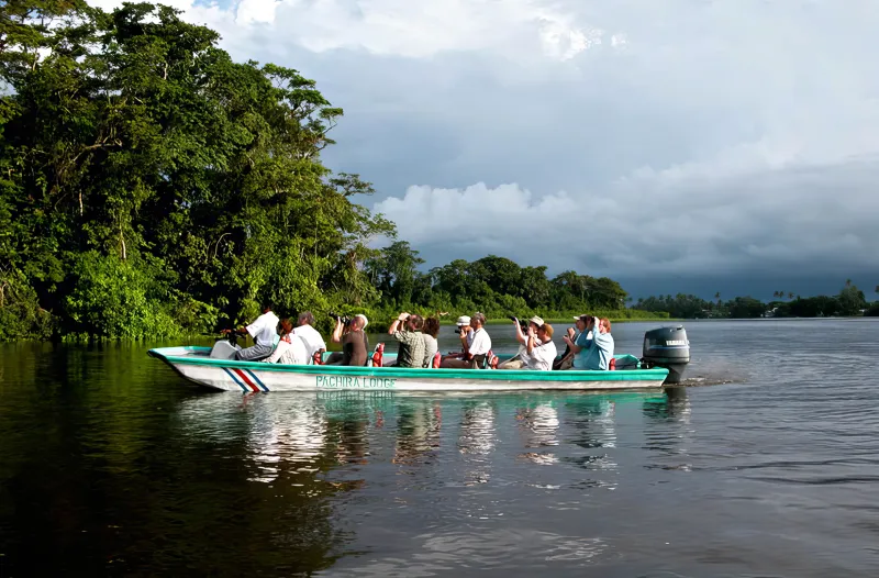Boat the Canals of Tortuguero National Park