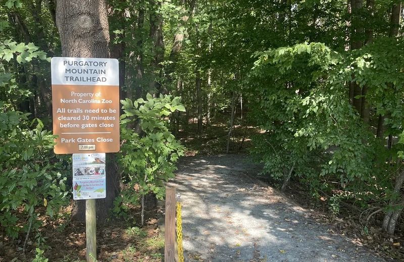Bonus: real hiking at the zoo itself