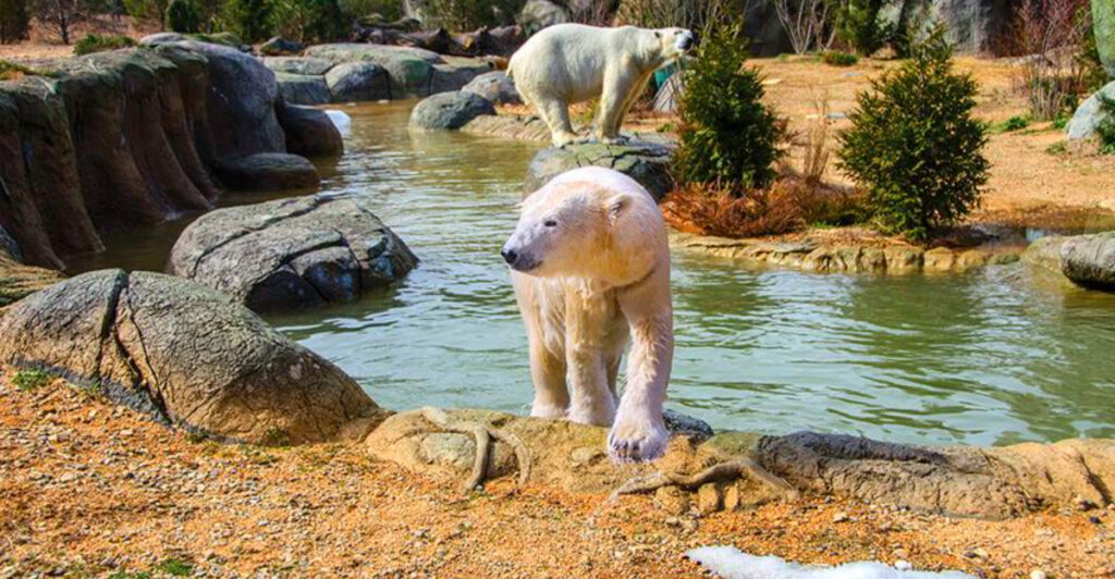 I’ve Lived in Asheboro, North Carolina for twenty Years and Here’s Why I Recommend Travelers to Visit